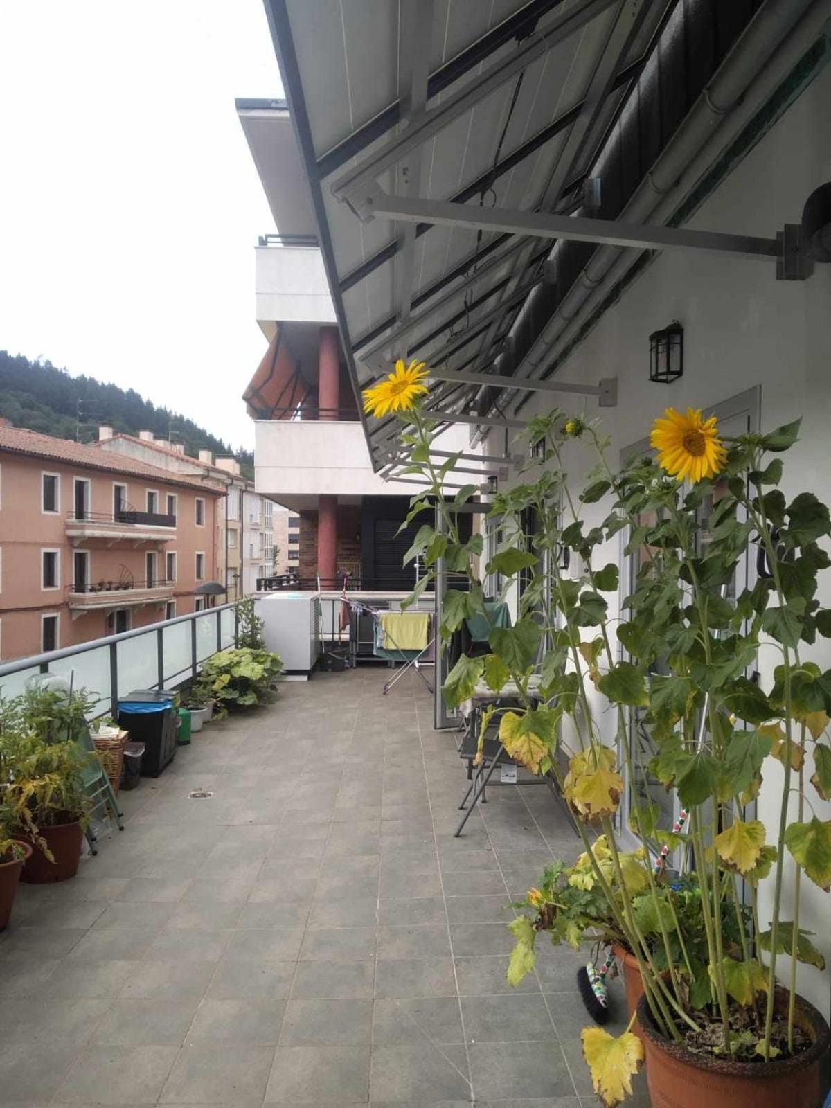 Aldabea II Apartamento Sostenible Legazpia Εξωτερικό φωτογραφία